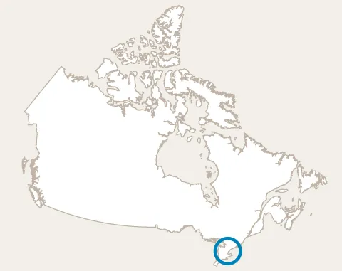 09-toronto-loc-bo-can1jpg