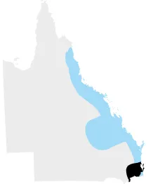 13-brisbane-ar-loc-qld8jpg