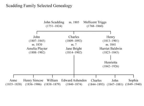genealogy%20chart%20Scadding.ai.tif