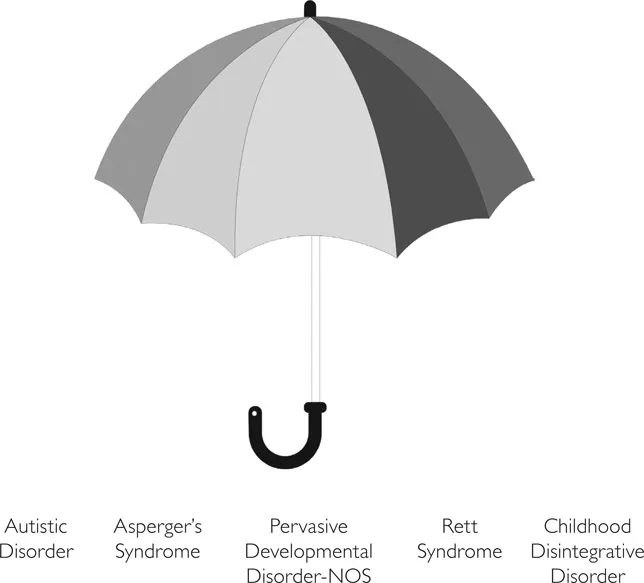 Figure 2. The various disorders included in the umbrella term, Pervasive Developmental Disorder.