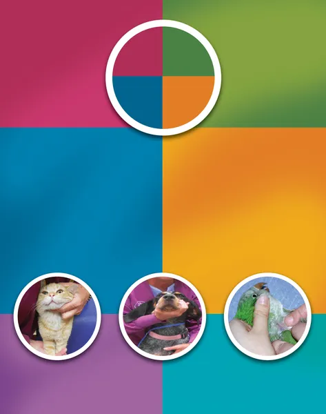 icon01-9780323354943