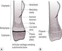 B9780702028946000019/gr1.webp is missing