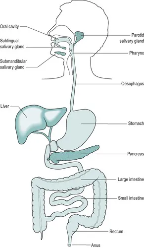 B9780702033674000013/gr1.webp is missing