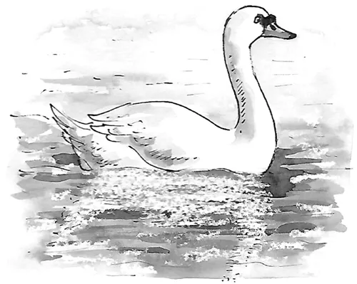 Image of a graceful swan gliding, seemingly effortlessly through the water