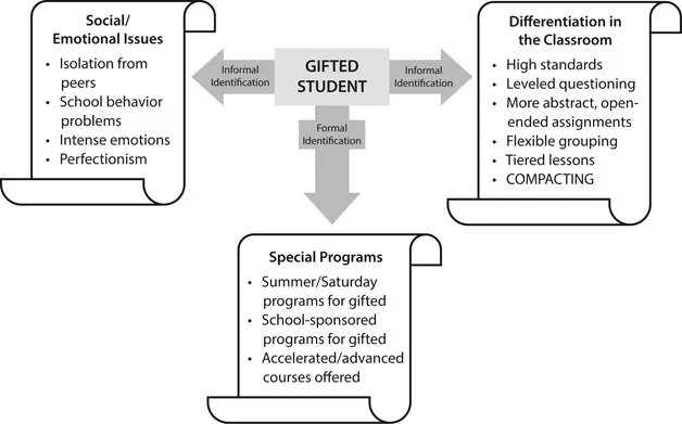 Figure 1.1. Reasons for identification.