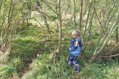  One child in a willow dome.