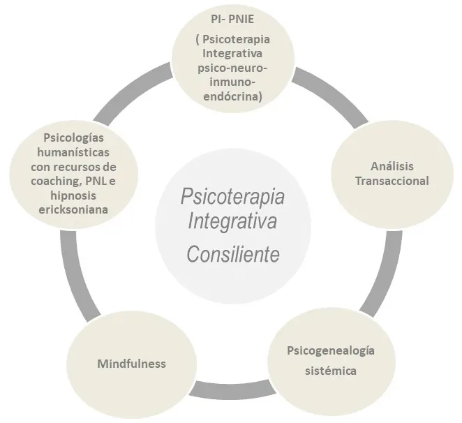 ¿Qué es la Psicoterapia integrativa consiliente?