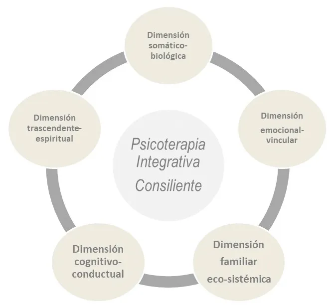 La Psicoterapia integrativa consiliente trabaja sobre las dimensiones humanas realizando distintos niveles de integración. Toma como guía del proceso terapéutico una Ficha de Salud Personal, que nos permite la flexibilidad de intervenir, a la manera de un libro interactivo en las distintas áreas de la vida de una persona. Estas dimensiones e integraciones son las siguientes y tienen cada una sus propios objetivos de trabajo:
