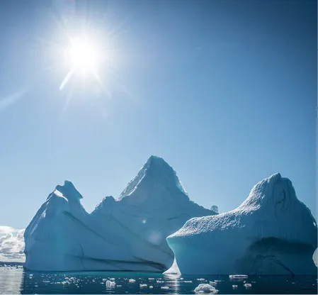 ICEBERGS-AUG2015-3608.webp