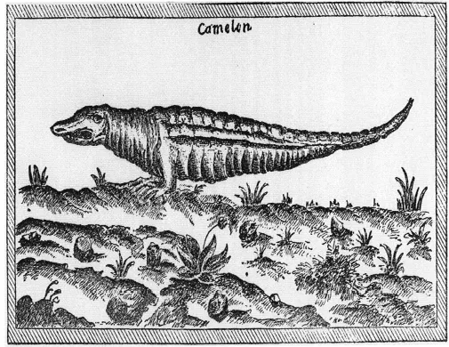 Samuel_de_Champlain_012_001