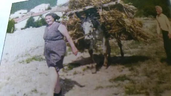 C:\Users\Luifi\Desktop\foto prt una storia\la caja.webp