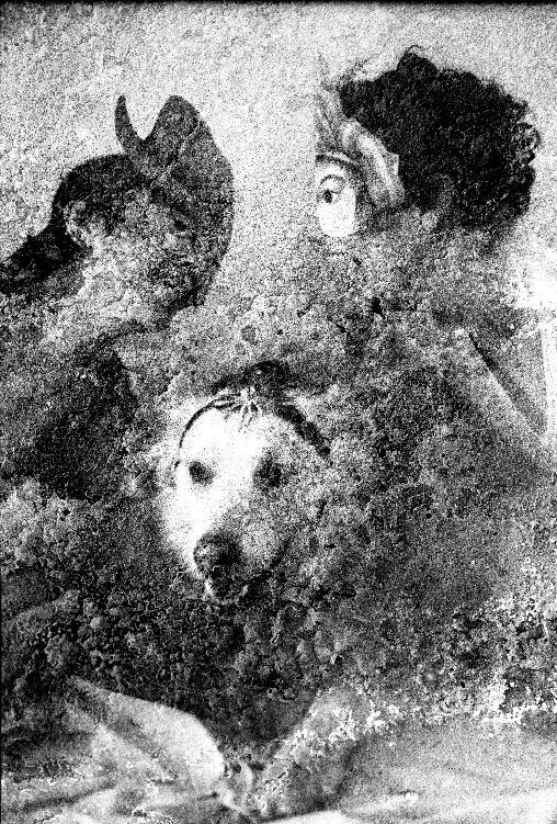 Macintosh HD:Users:beatriceluzi:Desktop:ultime foto catalogo:gaia_adducchio05.webp