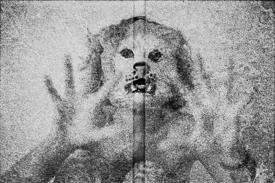 Macintosh HD:Users:beatriceluzi:Desktop:TOTEM:OPERE MOSTRA:RITRATTI DI FAMIGLIA:SU PANNELLO:Piccola su pannello 13.webp