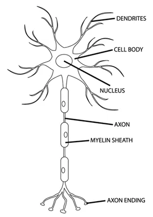 fig015