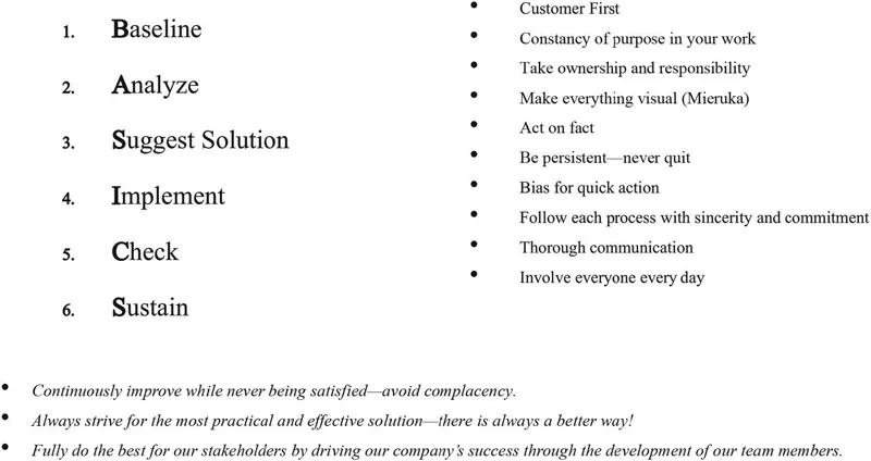 Figure 1.2 BASICS® Principles and Goals.