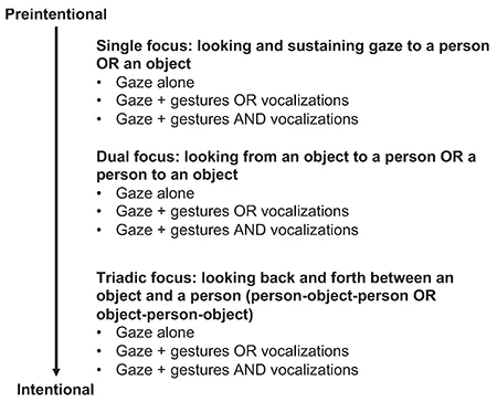A sliding scale from preintentional to intentional behavior details three types of focus: single focus, dual focus, and triadic focus.