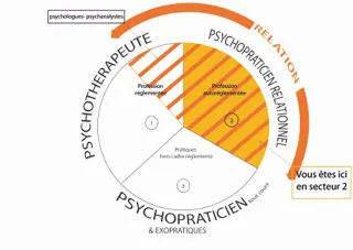 Ce schéma situe les trois types de praticiens proposant leurs services psys. • Le cadre de psychothérapeute (profession réglementée) désigne les psychologues cliniciens qui se sont enregistrés. Ceux d’entre eux qui sont psychanalystes se trouvent dans le secteur bayadère sur fond blanc. • Les bayadères sur fond grisé relèvent du secteur autoréglementé. • Les psychopraticiens non autoréglementés ne sont pas couverts par les quatre organisations historiques responsables (GLPR). • Les psychiatres, n’ont pas besoin en fait du titre de psychothérapeute étant entendu qu’ils pratiquent la psychothérapie « par nature » institutionnelle. Quelques praticiens peuvent s’inscrire ailleurs que dans leur case de départ. Restons simples.
