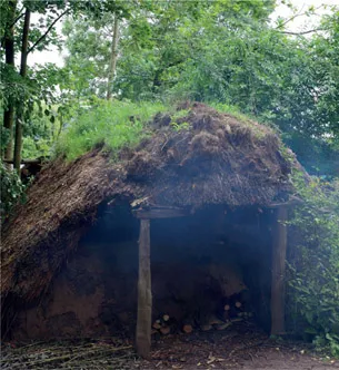 1.3 A recreation of a Stone Age hut at Escot Wildlife Park, Dorset.