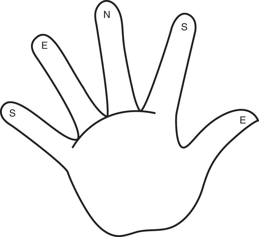 Schematic illustration of a hand with each finger labeled S, E, N, S, and E.