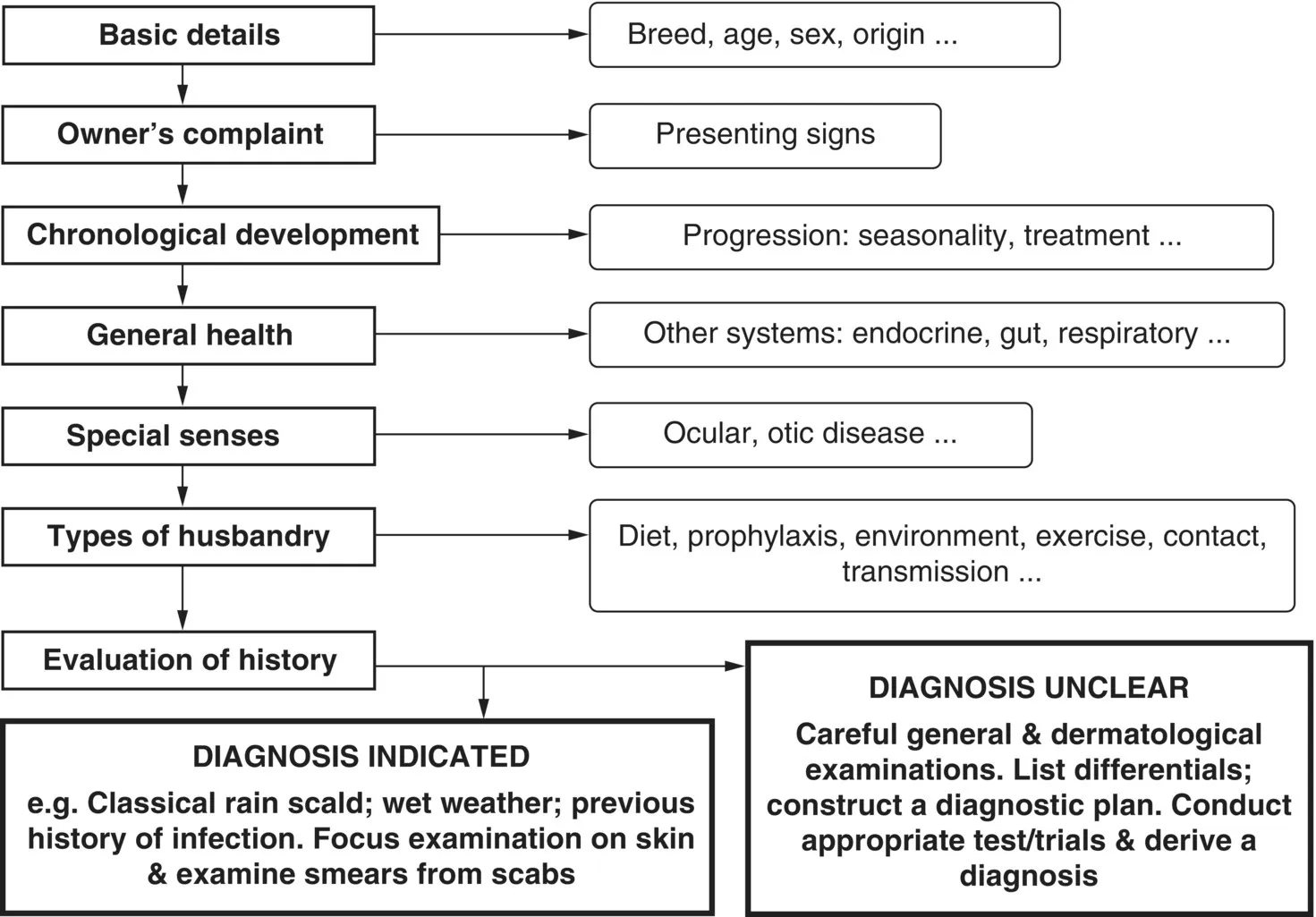 Schematic illustration of components and the sequence of the history taking process.