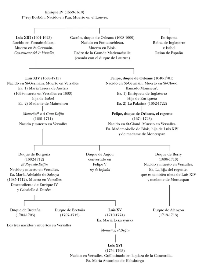 genealogia.webp
