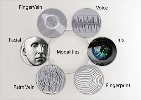Schematic illustration of biometric modalities.