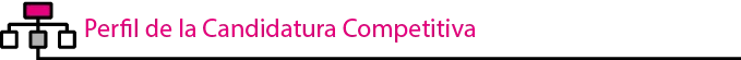 Perfil de la candidatura política