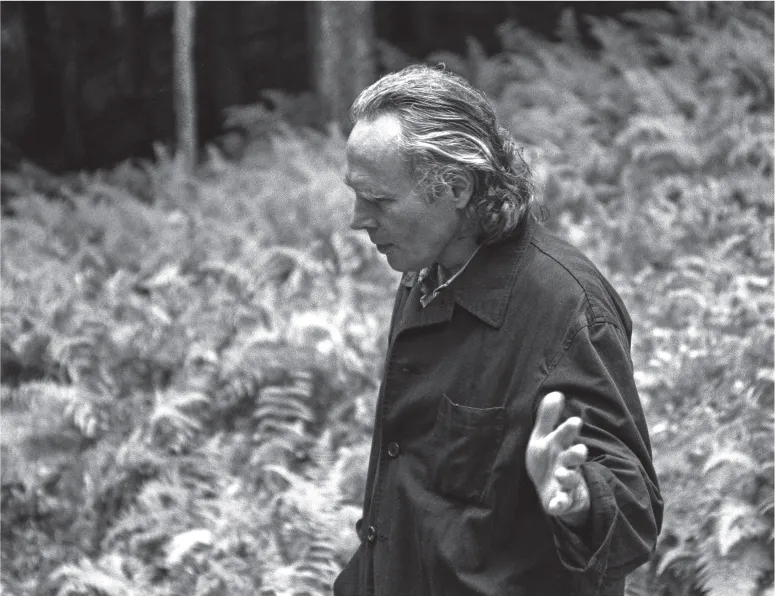 19. Brice Marden (artist). West Shokan, New York, 1995.