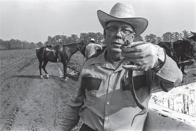 7. Dog sergeant with ground rattler. Cummins prison farm, Varner, Arkansas, 1975.