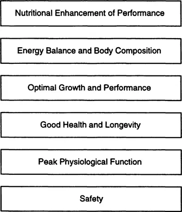 FIGURE 1 Model for a discipline of Exercise Nutrition. The six areas constitute the core of the discipline.