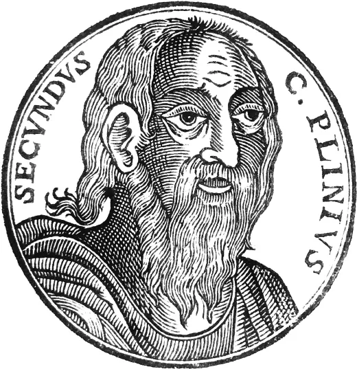 A roundel, with the inscribed words C. Plinius Secundus around the inside edge, holds the engraved portrait of an older bearded man looking facing in 3/4 view towards his left