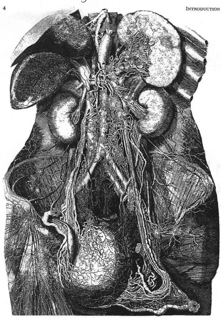 FIGURE 1.1 Lymphatics of the abdomen and pelvis (1787) by P. Mascagni. (Reproduced from Plentl and Friedman4 with permission from Elsevier.)