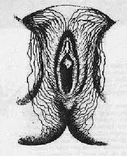 FIGURE 1.3 Vulvar lymphatics depicted by P.C. Sappey (1879). Note that lymphatics cross the labial-crural fold and buttocks. (Reproduced from Parry-Jones19 with permission.)