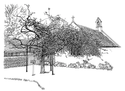 If These Stones Could Talk (exported)_img1