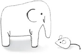 Schematic illustration of an elephant and a mouse.