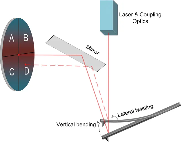 A laser beam is emitted from a laser diode in a laser & coupling optics module, and incident to the end of cantilever back. Owing to the morphology induced cantilever deflection, a quadrant photodiode collects the change of the reflected laser by a mirror.