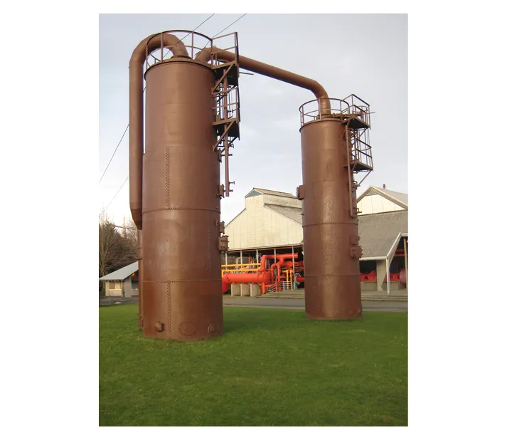 Man running on the trail around Mount Trashmore, Virginia Beach, Virginia.  (DN)]