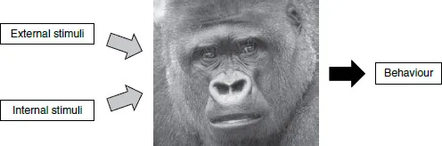 An illustration depicting the animal behavioural factors.