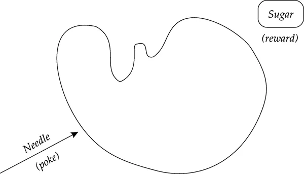 An amorphous shape with an arrow on one side labeled needle (poke) and a box on the other side labeled sugar (reward)