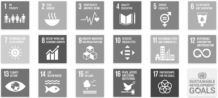 Schematic illustration of the 17 Sustainable Development Goals.