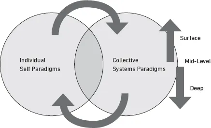 Venn diagram of how individual self paradigms and collective systems paradigms overlap