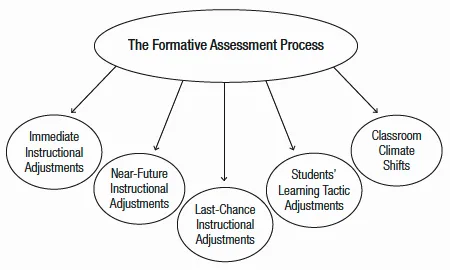 Figure 1.1. Applications of Formative Assessment