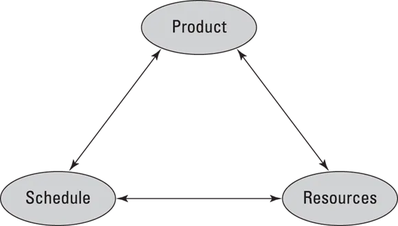 Schematic illustration of the relationship between the three main components of a project.