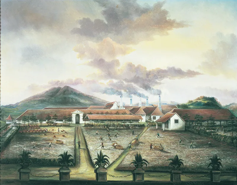 C. Bauer, Piantagione di zucchero nel Sud di Trinidad (1850 ca).