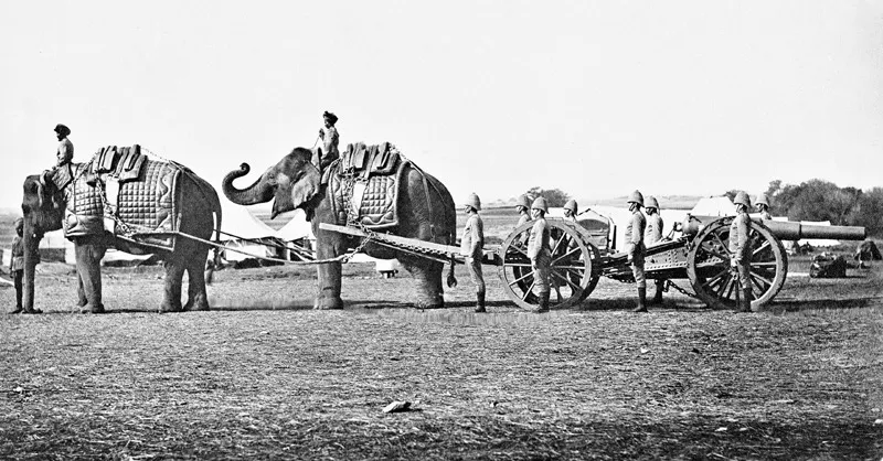 I soldati indiani con gli elefanti e quelli inglesi con il cannone: dopo la rivolta dei Sepoys, alle truppe indigene non venne più affidata l’artiglieria (1897).