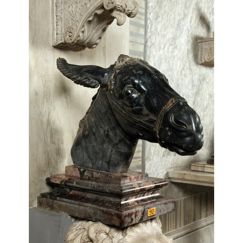 Testa di mulo custodita  nella «Sala degli animali», I secolo d.C. 