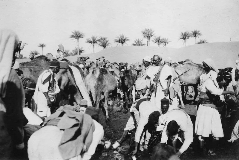 Hammam, agosto 1913. I cammellieri libici portano i loro animali all’abbeverata. (CMPA, s.f., foto n. 52)