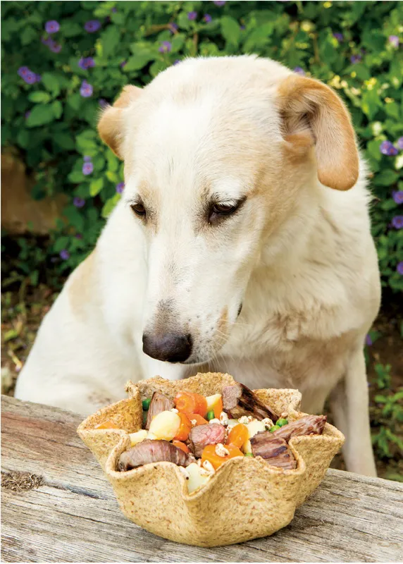 Ciotola di cialda con manzo, piselli e farro