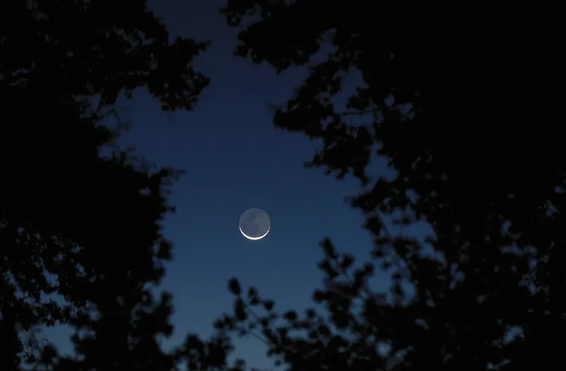 Quando la Luna della Terra sorge tra gli alberi poco prima dell’alba, sulla parte oscura del disco lunare è visibile la luce cinerea (la luce solare riflessa dalla Terra).