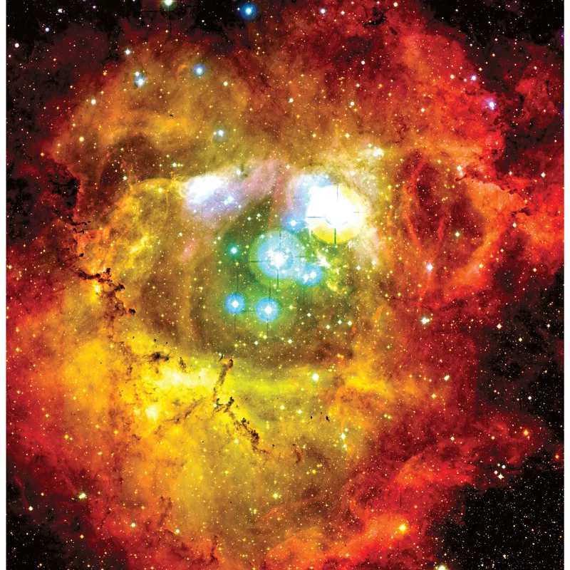 Immagine ottica colorata della nebulosa Rosetta. © CANADA-FRANCE-HAWAII †TELESCOPE/SCIENCE PHOTO LIBRARY